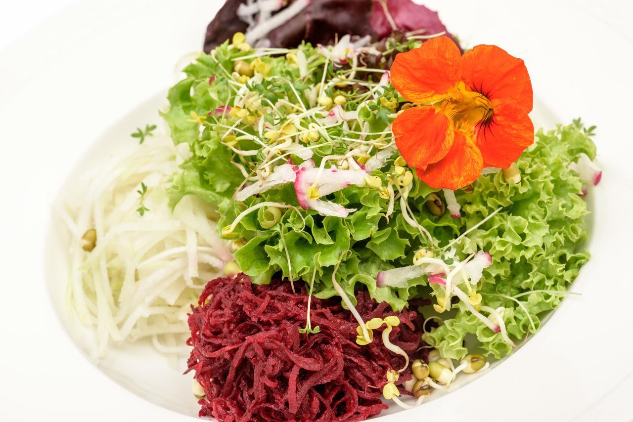 Berghues Schratt - Einfach Anders - Ihr Vegetarisches Und Veganes Biohotel Oberstaufen Luaran gambar