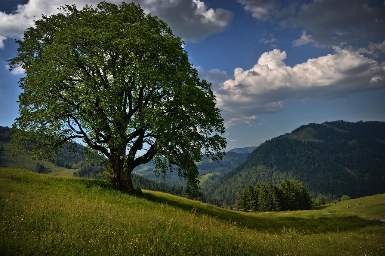 Berghues Schratt - Einfach Anders - Ihr Vegetarisches Und Veganes Biohotel Oberstaufen Luaran gambar