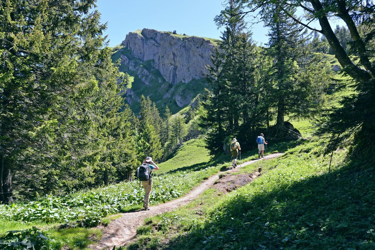 Berghues Schratt - Einfach Anders - Ihr Vegetarisches Und Veganes Biohotel Oberstaufen Luaran gambar