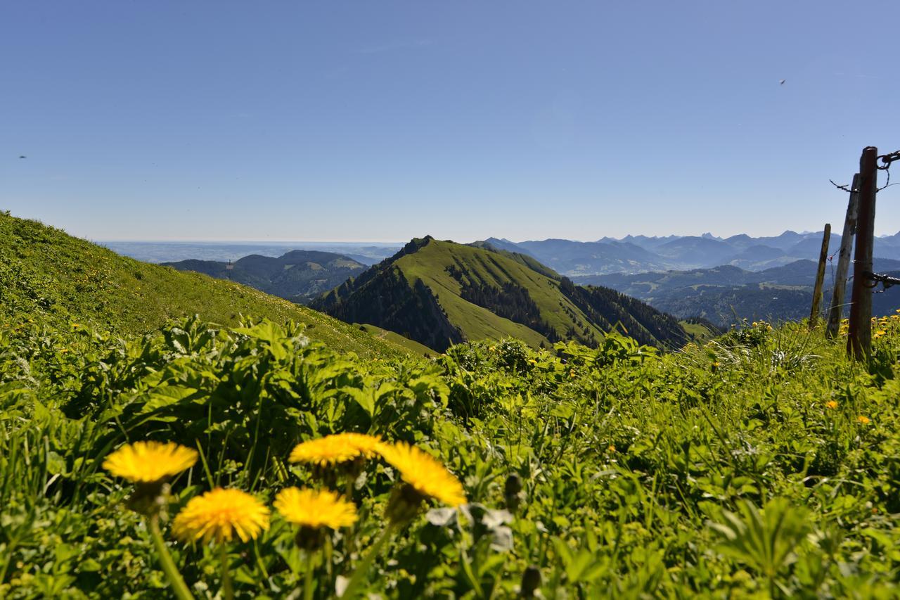 Berghues Schratt - Einfach Anders - Ihr Vegetarisches Und Veganes Biohotel Oberstaufen Luaran gambar