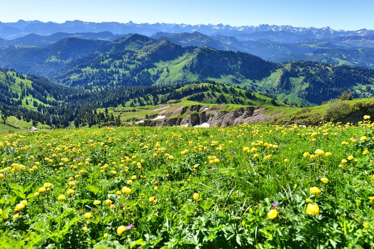 Berghues Schratt - Einfach Anders - Ihr Vegetarisches Und Veganes Biohotel Oberstaufen Luaran gambar
